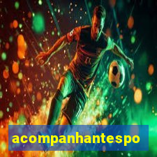 acompanhantesportovelho