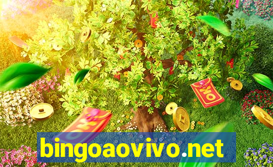 bingoaovivo.net