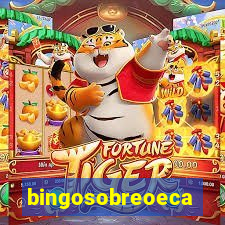 bingosobreoeca